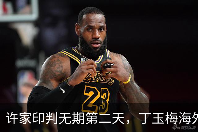 许家印判无期第二天，丁玉梅海外资产被扒干净！每月两万活成笑话