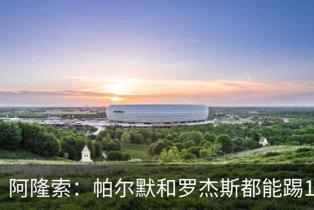 阿隆索：帕尔默和罗杰斯都能踢10号位；作为教练有时需放手